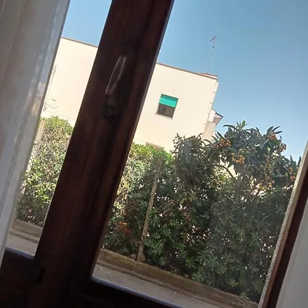 Pinna Gialla לינה וארוחת בוקר